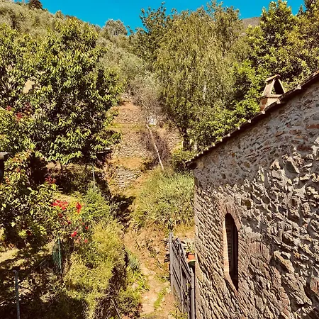 Feriehus Casa Graziosa Montemagno (Pisa)